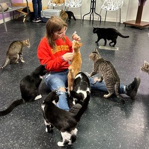 Meet your Posher, Ashlynn